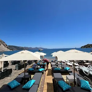 Otel Lale, Turunç
